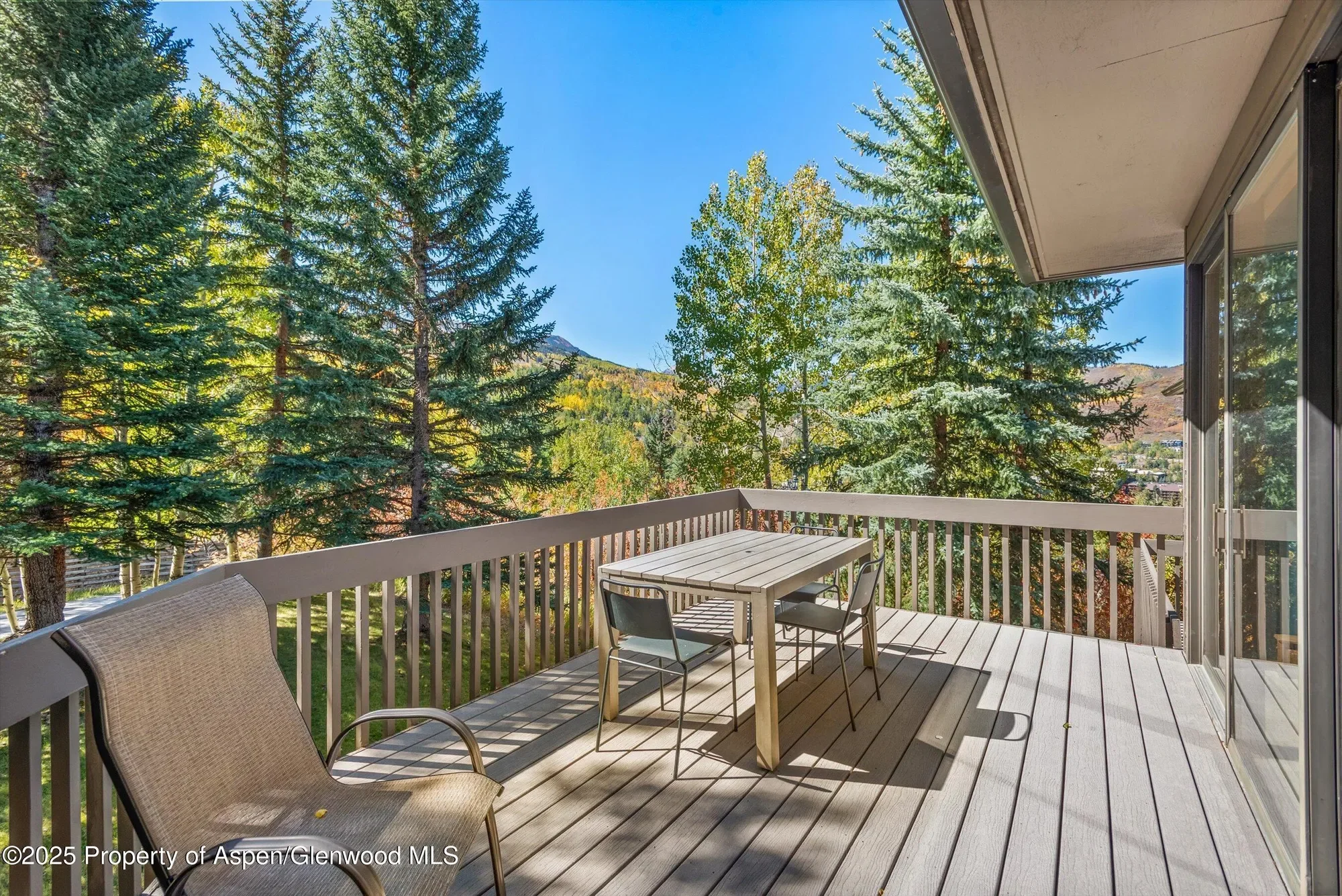 259 Deer Ridge Lane, Snowmass Village, CO, United States. - Photo 34