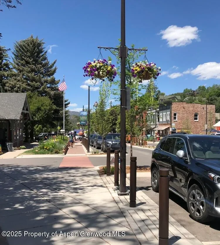 165 Midland Avenue, El Jebel, Colorado, United States. - Photo 6