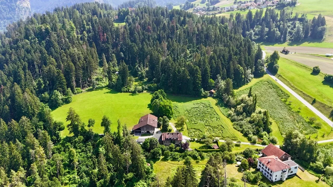 Masein, Grisons, Switzerland. - Photo 16