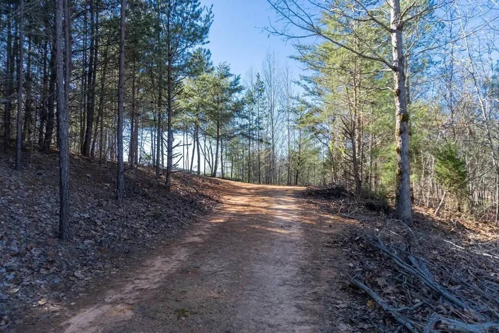 41AC Loving Road, Blairsville, Georgia, United States. - Photo 22