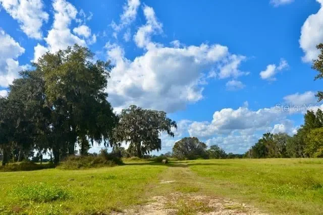 11750 SE 22ND AVE ROAD, Belleview, Florida, United States. - Photo 3