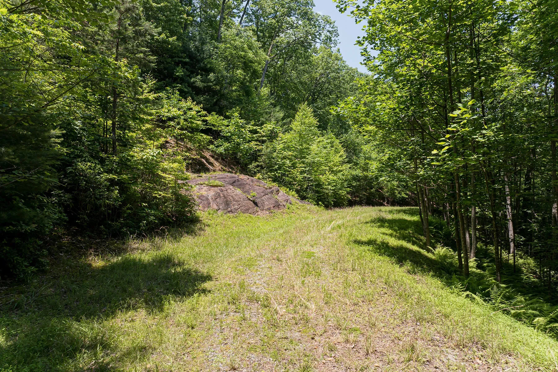 1000 Sutton Creek Road, Pisgah Forest, NC 28768, Mills River, North Carolina, United States. - Photo 28