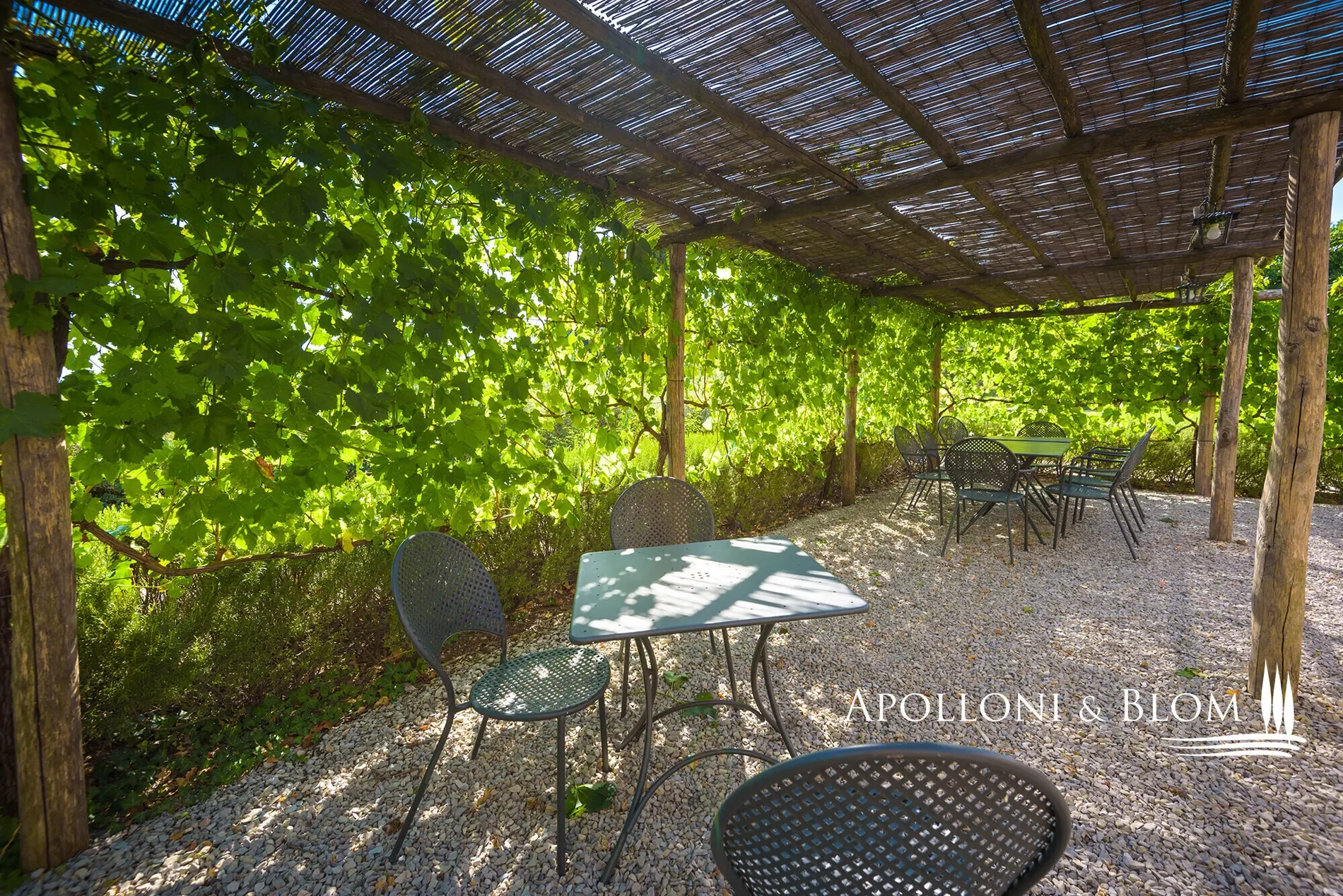Sinalunga, Tuscany, Italy. - Photo 11