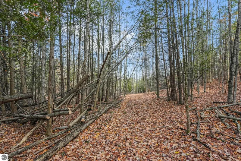 750 N Dumas Road, Suttons Bay, MI, 49682, USA, Suttons Bay, Michigan, United States. - Photo 46