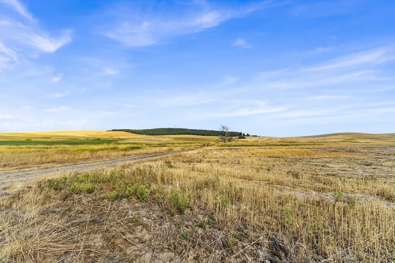 8597 W Rolling Hills Road, Worley, ID 83876, Worley, Idaho, United States. - Photo 4