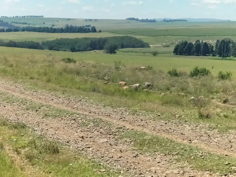 Bethlehem, Free State, South Africa. - Photo 43
