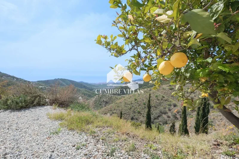 Itrabo, Itrabo, Granada, Itrabo, Itrabo, Andalusia, Spain. - Photo 112