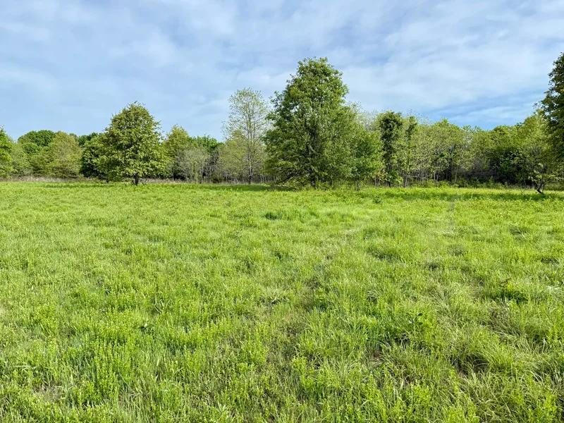 143 Horton Road, Rocky Comfort, MO 64861, Rocky Comfort, Missouri, United States. - Photo 46
