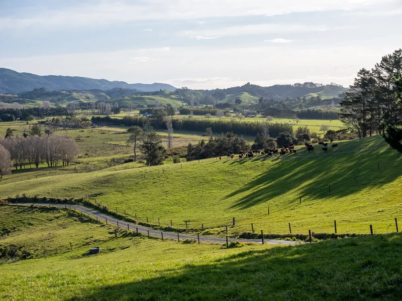 6986B State Highway 1, Kaitaia, NTL 0482, Kaitaia, Northland, New Zealand. - Photo 19