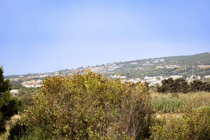 Sotogrande, SPAIN, Sotogrande, San Roque, Andalusia. - Photo 44