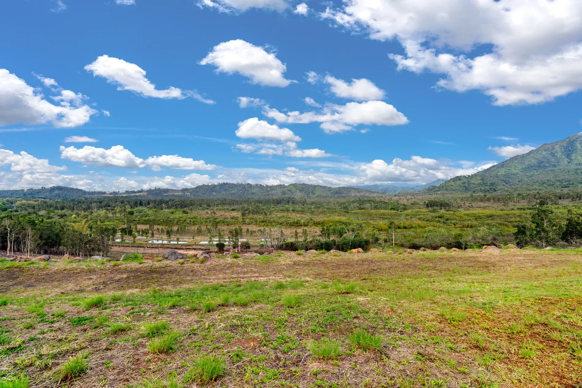 2818 KAMOOKOA RD, #5, Kilauea, HI, 96722, USA, Kilauea, Hawaii, United States. - Photo 2