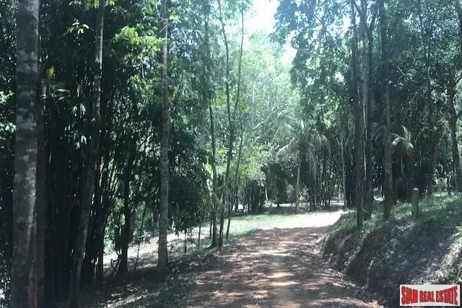 Phang Nga,, Kalai, Phang-nga, Thailand. - Photo 10