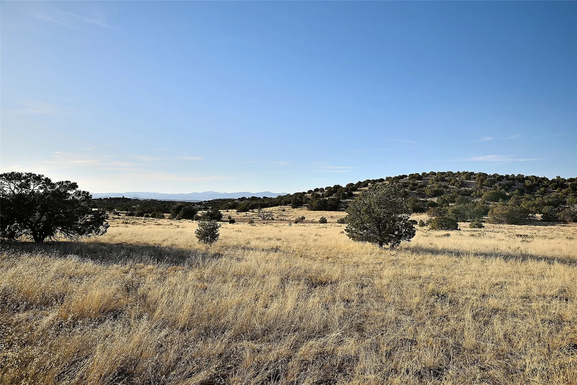 Gallery photo 11