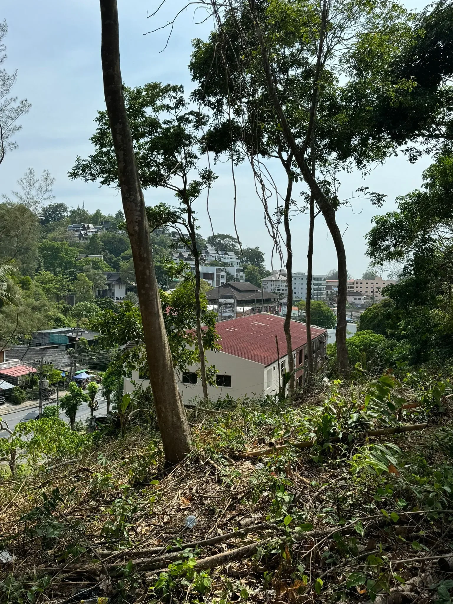 Phuket,, Choeng Thale, Phuket, Thailand. - Photo 2