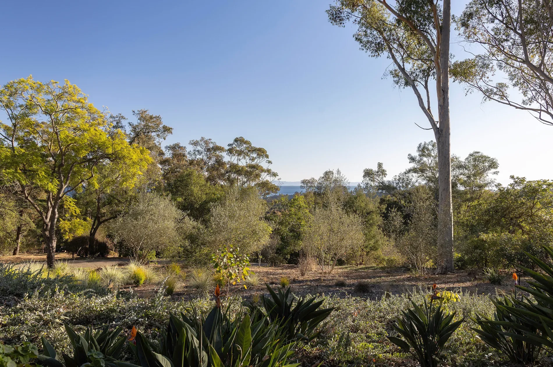 1030/1010 E Mountain Drive, Montecito, California, United States. - Photo 19