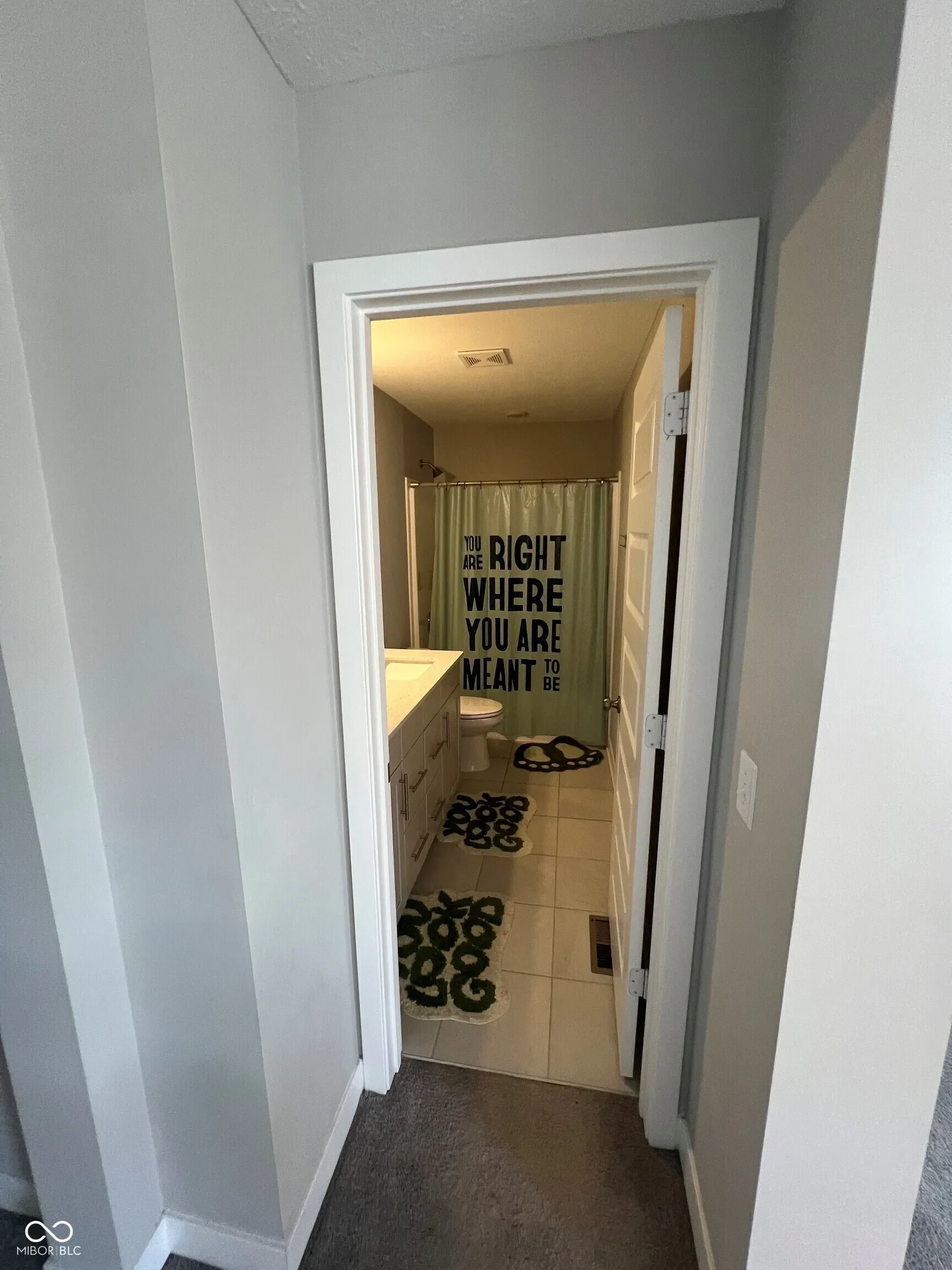 10345 Shull Farm Drive, Fishers, IN 46040, Fortville, Indiana, United States. - Photo 21