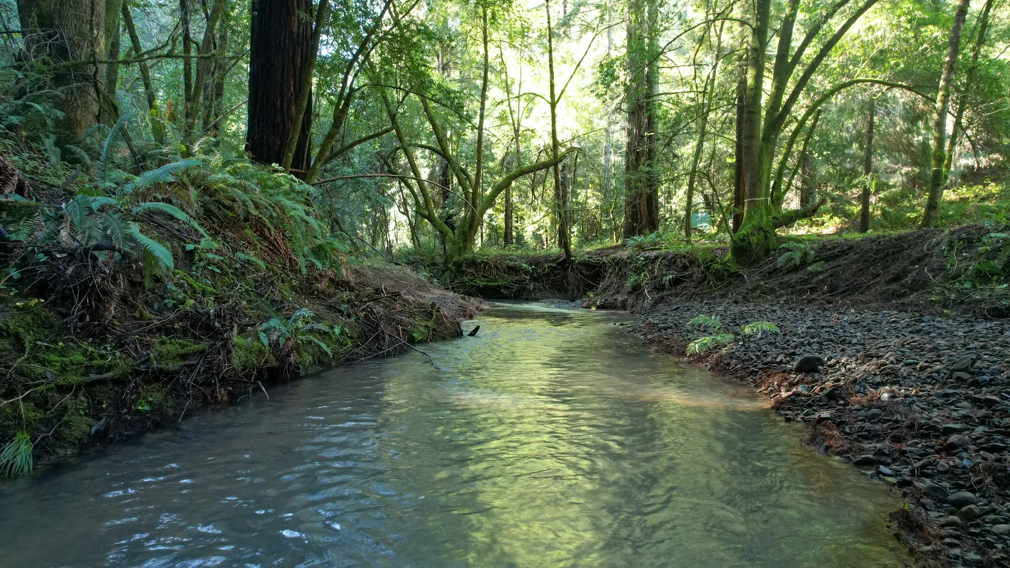 1490 Felta Road , Healdsburg, CA 95448, Healdsburg, California, United States. - Photo 8