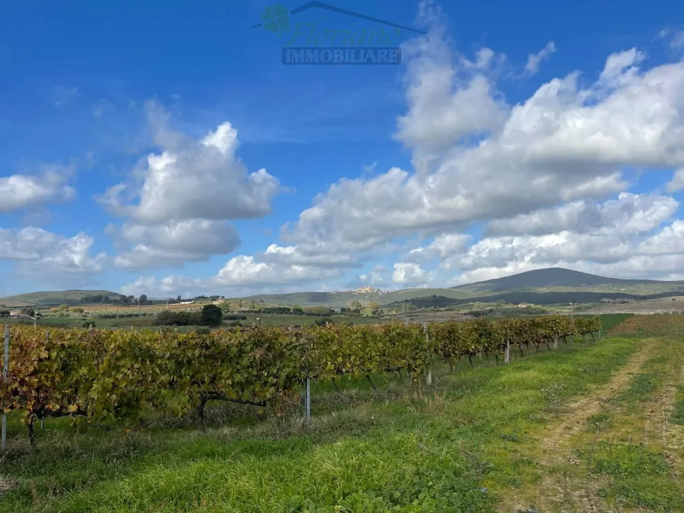 Strada Pedemontana, Capalbio, Tuscany, Italy. - Photo 32