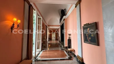 Thumbnail 22