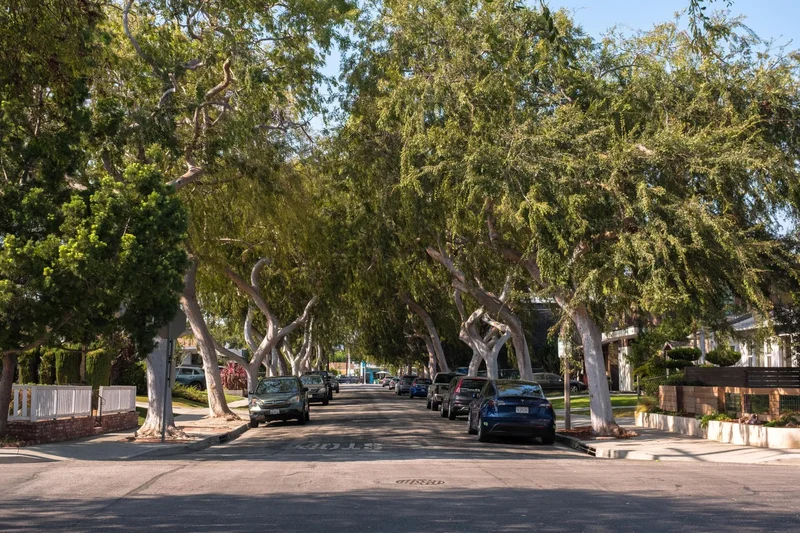 3050 Reid Ave, Culver City, CA 90232, Culver City, California, United States. - Photo 17