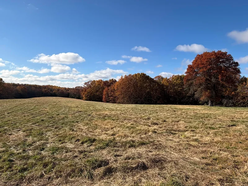 Tbd SE 1325 Road, Weaubleau, MO 65774, Weaubleau, Missouri, United States. - Photo 23