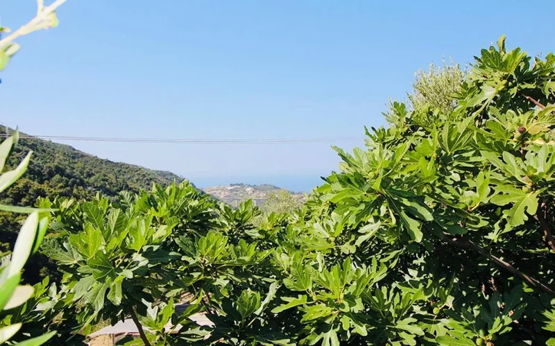 Via Garga, Liguria, Liguria, Italy. - Photo 45