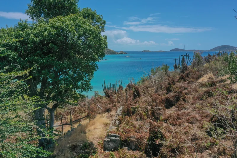 6e1&2 Hansen Bay, St. John, VIRGIN ISLANDS (U.S.), East End, St. John, U.S. Virgin Islands. - Photo 6
