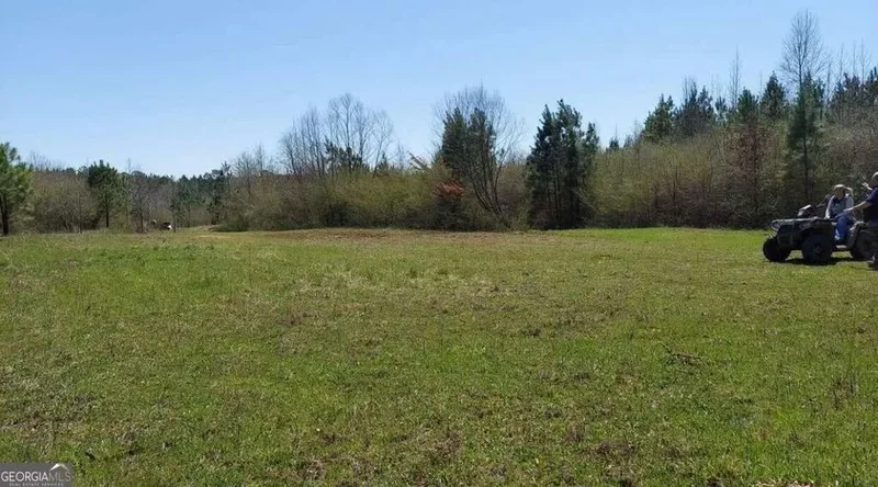 Franklin, Georgia, United States. - Photo 15