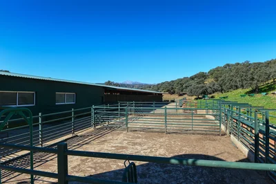 Thumbnail 12