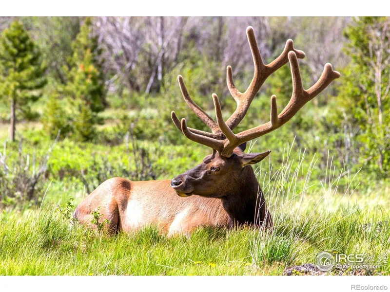 1700 Continental Peaks Circle, Estes Park, Colorado, United States. - Photo 11