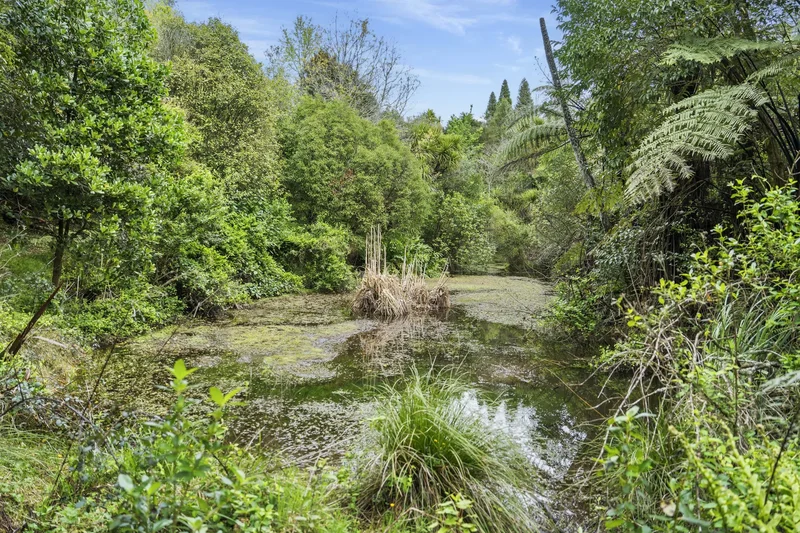 40 Walden Lane, Minden 3171, New Zealand, Minden, Bay of Plenty, New Zealand. - Photo 19