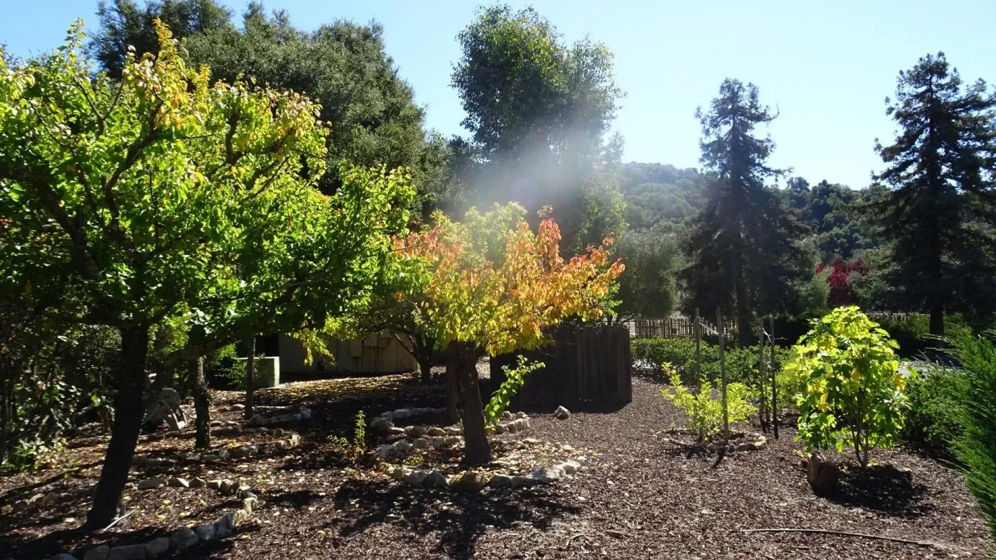529 Corral De Tierra Road, Salinas, California, United States. - Photo 3