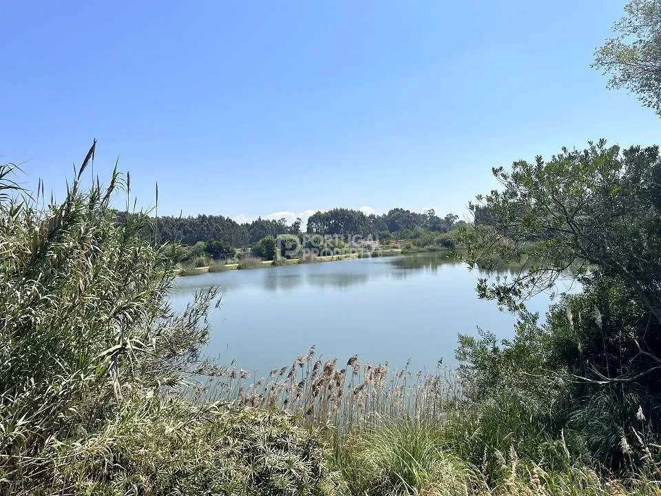 Porto, Porto, Porto, Cedofeita, Santo Ildefonso, Se, Miragaia, Sao Nicolau e Vitoria, Porto District, Portugal. - Photo 14