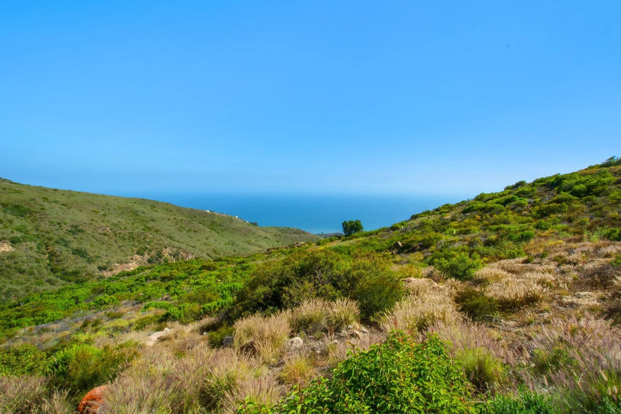 3960 Decker Edison Road, Malibu, CA 90265, Malibu, California, United States. - Photo 6