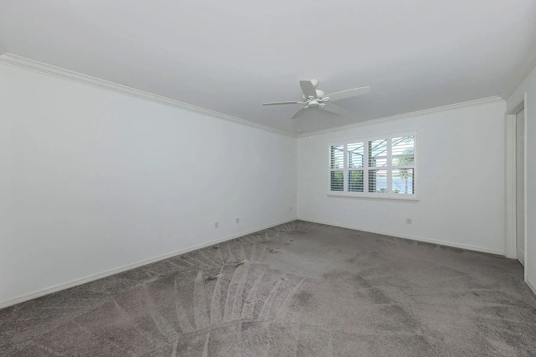 Gallery photo 12