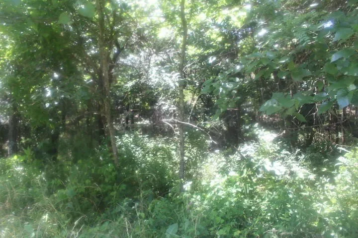 3176 S 170th Road, Polk, MO 65727, Bolivar, Missouri, United States. - Photo 53