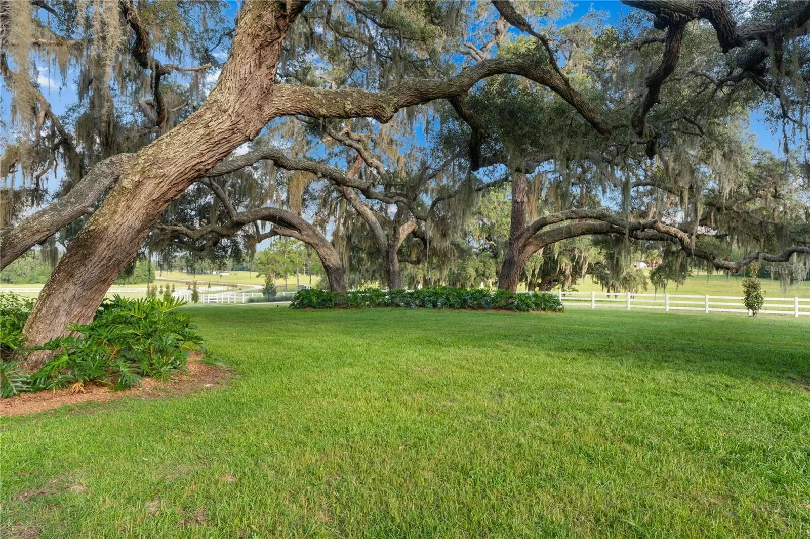 21679 SW 106TH LANE ROAD, Dunnellon, Florida, United States. - Photo 6
