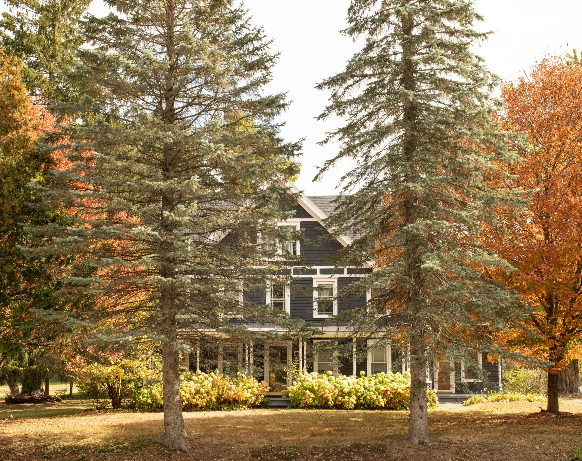 11548 New York 23A , Prattsville, NY 12468, Prattsville, New York, United States. - Hero Image