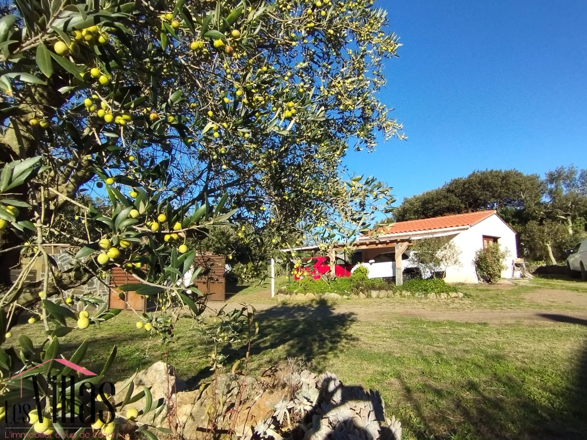 Céret, Occitanie, France. - Photo 21
