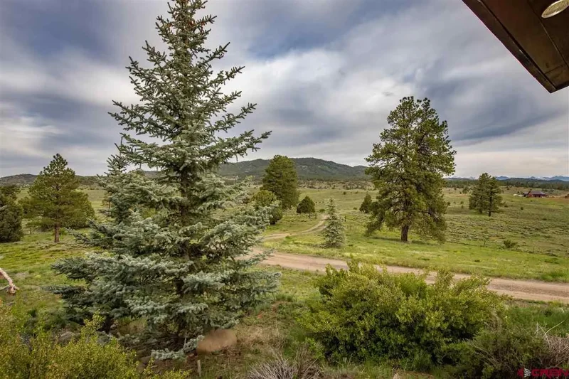 2000 Co Rd 359, Pagosa Springs, CO 81147, Pagosa Springs, Colorado, United States. - Photo 25