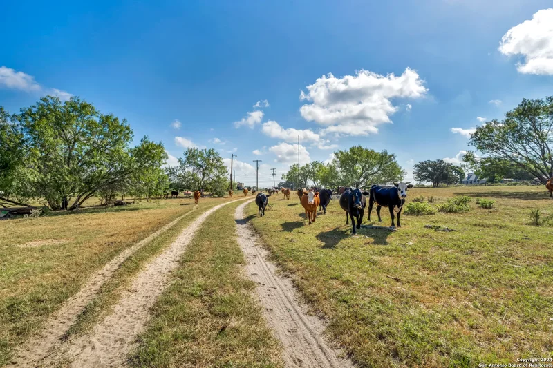 12153 E US Hwy 87 W, La Vernia, TX 78121, La Vernia, Texas, United States. - Photo 8