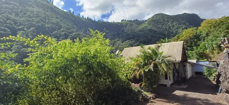 Punaauia, Punaauia, Puna'auia, Windward Islands, French Polynesia. - Photo 13