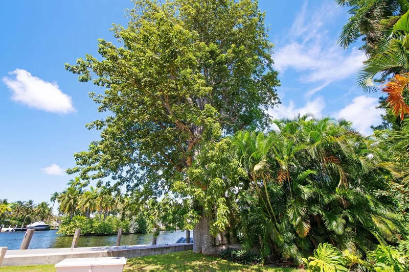 629 SW 8th Ter, Fort Lauderdale, Florida, United States. - Photo 25