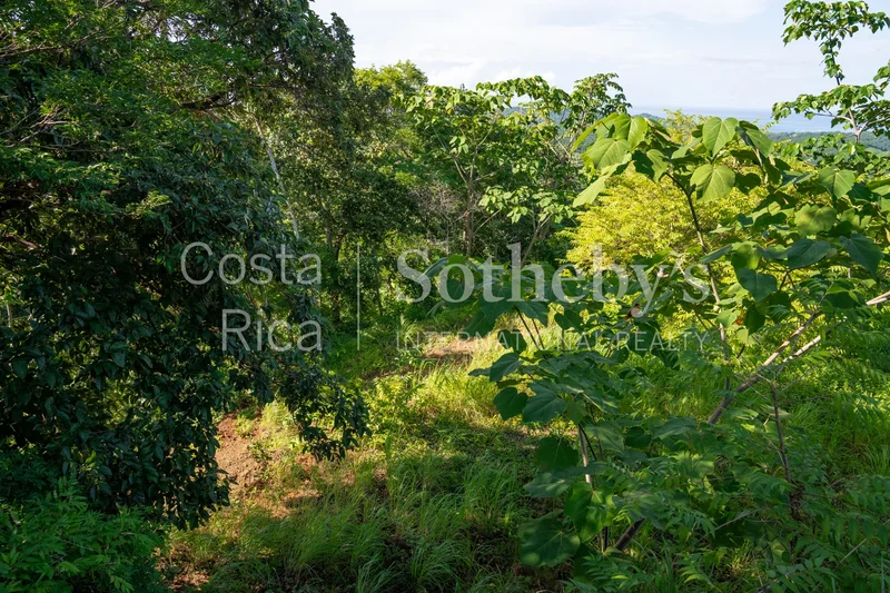 Nosara Estates, Nosara Estates, G, Nicoya, Costa Rica. - Photo 4
