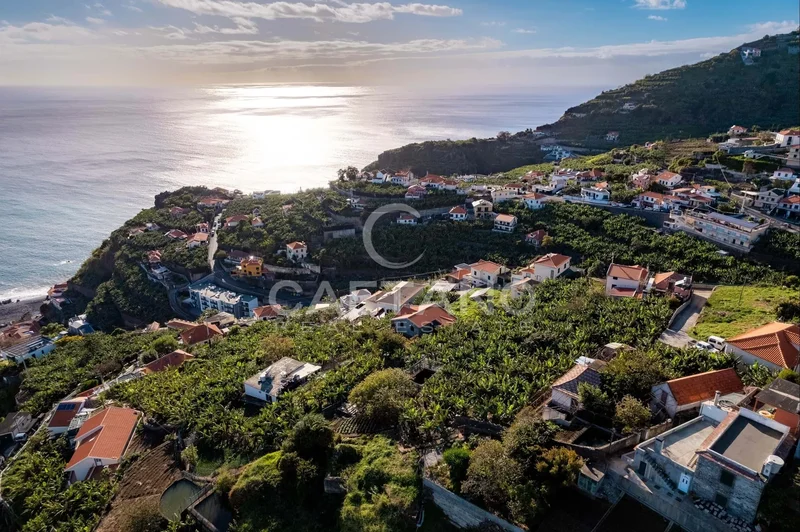 Ponta do Sol, Madeira, Portugal. - Photo 18