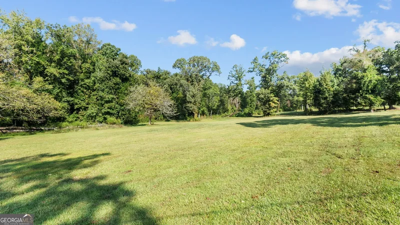 2987 Steele Road, Griffin, GA 30223, Griffin, Georgia, United States. - Photo 8