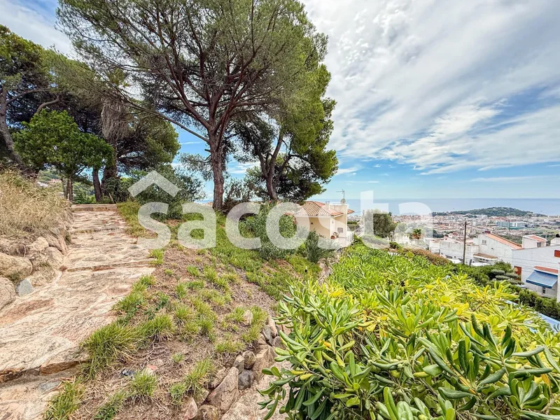 Roca Grossa, Lloret de Mar, GIRONA, Lloret de Mar, Lloret de Mar, Catalonia, Spain. - Photo 13