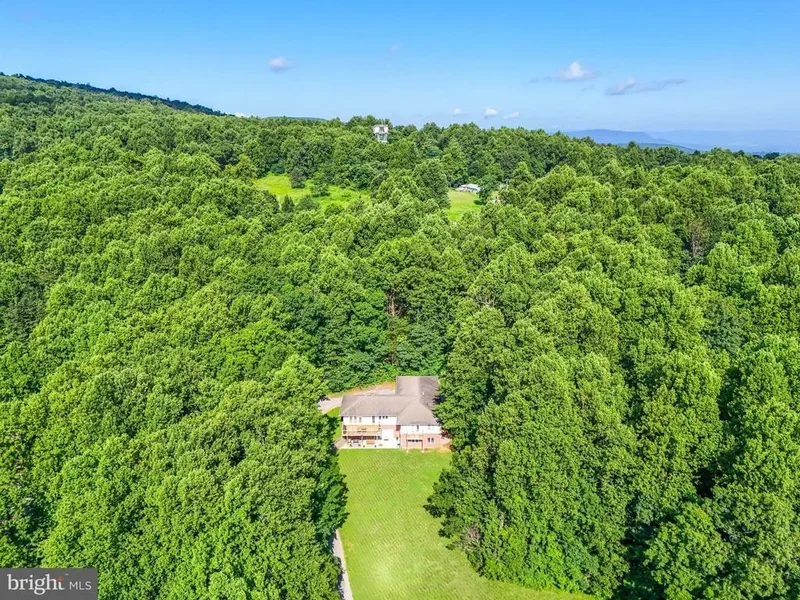 46 Rock Ridge Lane, Chester Gap, VA 22623, Chester Gap, Virginia, United States. - Photo 51
