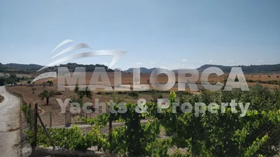 Thumbnail 27