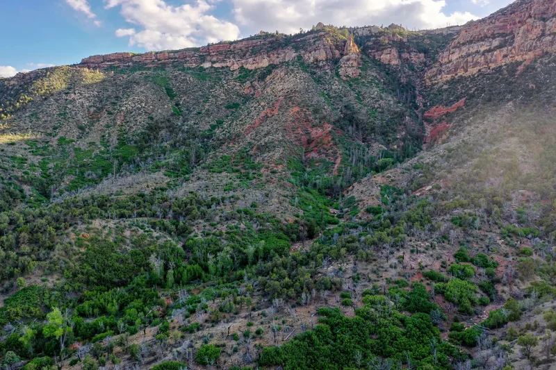 Sinbad Ranch , Gateway, CO 81522, Gateway, Colorado, United States. - Photo 47